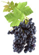grappe de raisin
