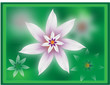 White flowers