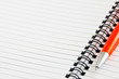 Photo: Papier und Kugelschreiber Papier und Kugelschreiber