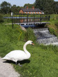 canal