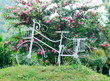 Wrought iron bicycle  in garden