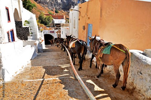 Photo: Donkey waiting for passengers to bring them to the upper town Donkey waiting for passengers to bring them to the upper town