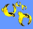 Four yellow and black birds flying in the sky together