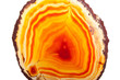 Slice of yellow and orange agate