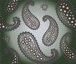 Seamless background with paisley