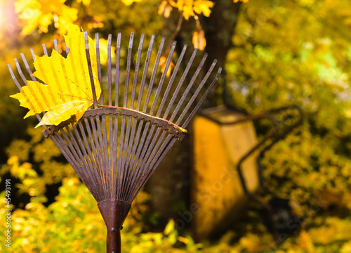 Photo: Rake and leaf Rake and leaf