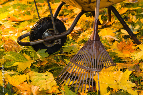 Photo: Rake and wheelbarrow Rake and wheelbarrow