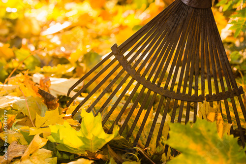 Photo: Rake and leafs Rake and leafs