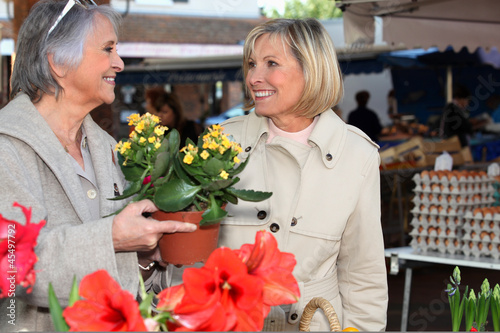 Photo: Older women shopping for plants Older women shopping for plants