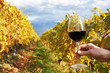 Wineglass in the hand against vineyards in Lavaux region, Switze