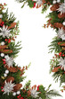 Christmas Border