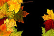 Foto: Autumn on black background. Autumn on black background.