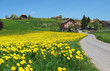 Spring in Emmental, Switzerland