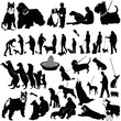 dog vector isolated on white background