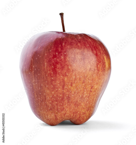 Photo: apple bite fruit healthy diet food apple bite fruit healthy diet food