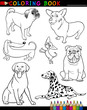 Cartoon Dogs for Coloring Book or Page