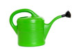 Grüne Gießkanne