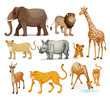 Animals