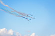 KYIV, UKRAINE - SEPTEMBER 29: Aero L-39 during Airshow