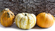 coloquintes potirons d'automne
