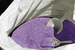 Sacco di lavanda