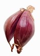 A red shallot