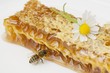 A honeycomb, a bee and a daisy