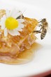 A honeycomb, a bee and a daisy