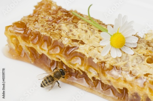 Photo: A honeycomb, a bee and a daisy A honeycomb, a bee and a daisy