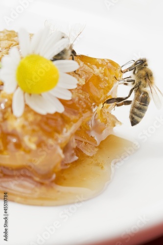 Photo: A honeycomb, a bee and a daisy A honeycomb, a bee and a daisy