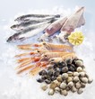 Sardines, squid, scampi and muscles