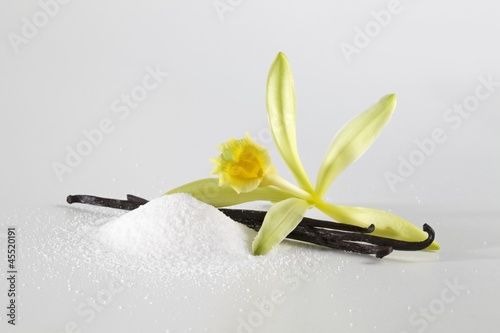 Photo: Vanilla blossom, vanilla pod and vanilla sugar Vanilla blossom, vanilla pod and vanilla sugar