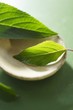 Pineapple Sage Leaves