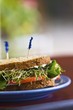 Vegetable Sandwich on Whole Wheat Bread