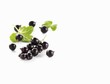 Blackcurrents with leaves