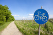 Radweg in Wien