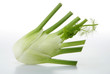 Fenchel 065