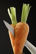 Foto: Cutting a carrot in half with a knife Cutting a carrot in half with a knife