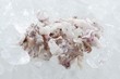 Frozen squid