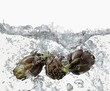 Artichokes in boiling water