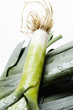 Wet leeks