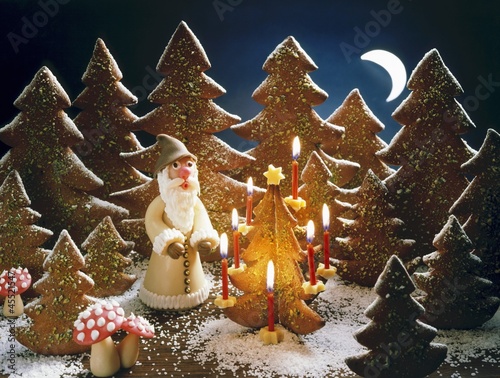 Photo: A Christmas forest scene with Father Christmas A Christmas forest scene with Father Christmas