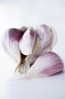 Garlic bulb and cloves