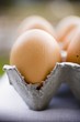 Brown eggs in an egg box