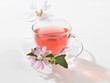 Hollyhock tea in cup, close-up