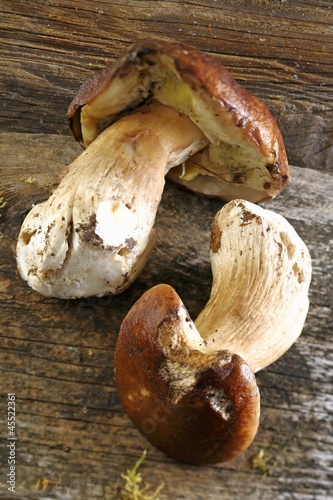 Photo: Two fresh porcini mushroom on a wooden surface Two fresh porcini mushroom on a wooden surface