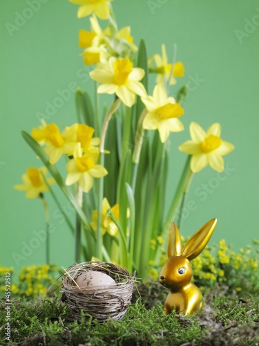 Photo: Gold Easter Bunny in front of narcissi Gold Easter Bunny in front of narcissi