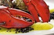 Lobster, caviar and oysters on plate (close-up)