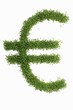 Euro sign in cress