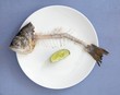 Fish bones with head and tail on plate (overhead view)